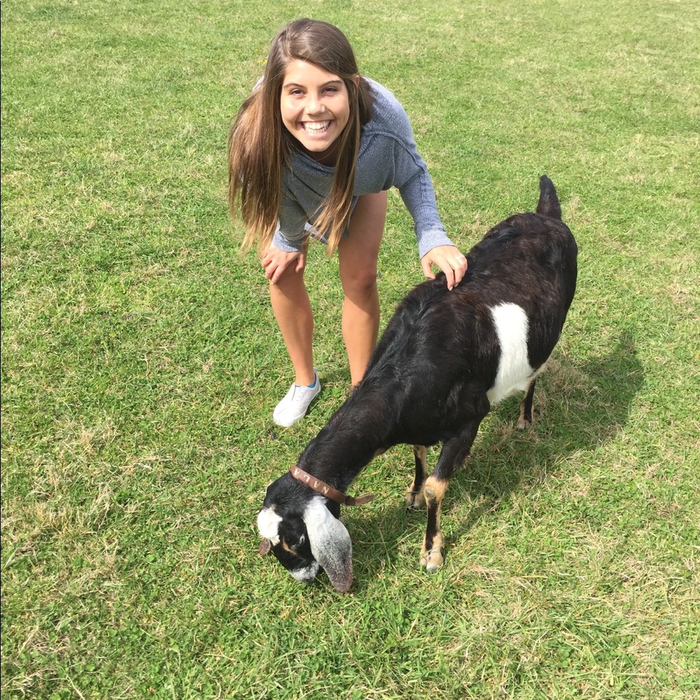 Meet your Posher, Laine